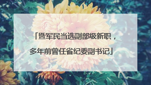 暨军民当选副部级新职，多年前曾任省纪委副书记