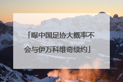 曝中国足协大概率不会与伊万科维奇续约