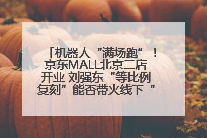 机器人“满场跑”!京东MALL北京二店开业 刘强东“等比例复刻”能否带火线下“618”?