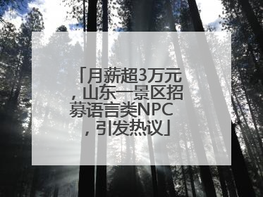 月薪超3万元，山东一景区招募语言类NPC，引发热议