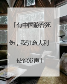 有中国游客死伤，我驻意大利使馆发声