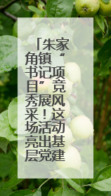 朱家角镇“书记项目”竞秀展风采！这场活动亮出基层党建“成绩单”