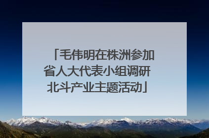 毛伟明在株洲参加省人大代表小组调研北斗产业主题活动