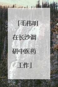 毛伟明在长沙调研中医药工作