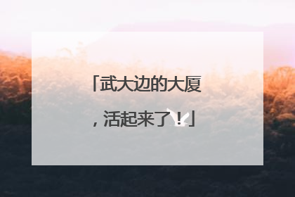 武大边的大厦，活起来了！