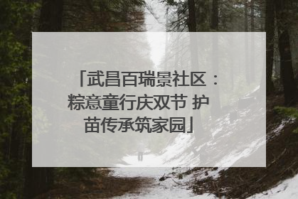 武昌百瑞景社区：粽意童行庆双节 护苗传承筑家园