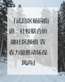 武昌区杨园街道：社校联合扮靓社区颜值 青春力量推动环保风尚