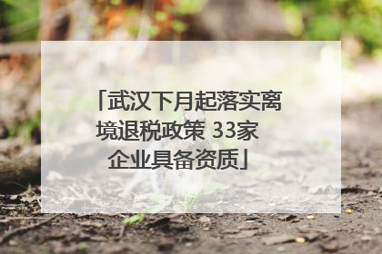 武汉下月起落实离境退税政策 33家企业具备资质