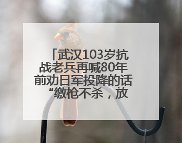 武汉103岁抗战老兵再喊80年前劝日军投降的话 “缴枪不杀，放你回家”