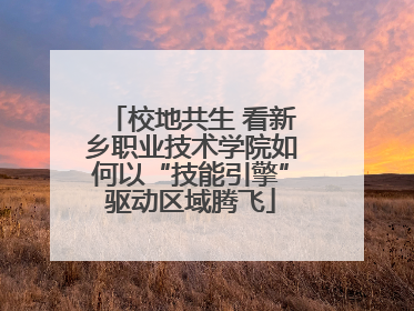 校地共生 看新乡职业技术学院如何以“技能引擎”驱动区域腾飞