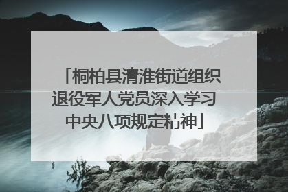 桐柏县清淮街道组织退役军人党员深入学习中央八项规定精神