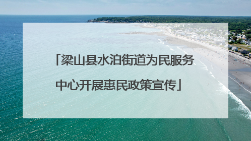 梁山县水泊街道为民服务中心开展惠民政策宣传