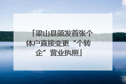 梁山县颁发首张个体户直接变更“个转企”营业执照