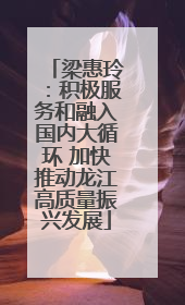 梁惠玲：积极服务和融入国内大循环 加快推动龙江高质量振兴发展