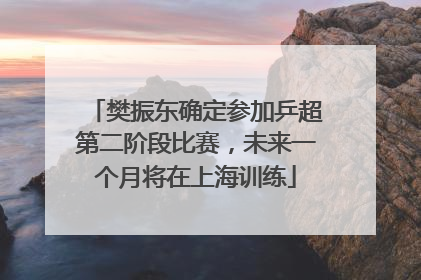 樊振东确定参加乒超第二阶段比赛，未来一个月将在上海训练
