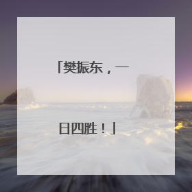 樊振东，一日四胜！