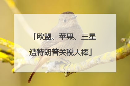 欧盟、苹果、三星遭特朗普关税大棒