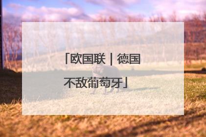 欧国联｜德国不敌葡萄牙