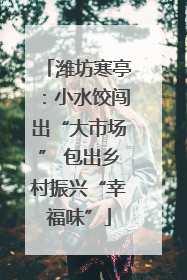 潍坊寒亭：小水饺闯出“大市场” 包出乡村振兴“幸福味”