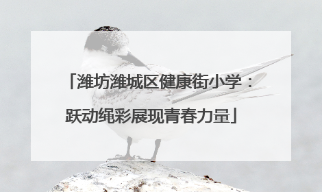 潍坊潍城区健康街小学：跃动绳彩展现青春力量