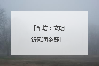 潍坊：文明新风润乡野