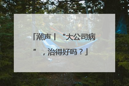 潮声丨“大公司病”，治得好吗？