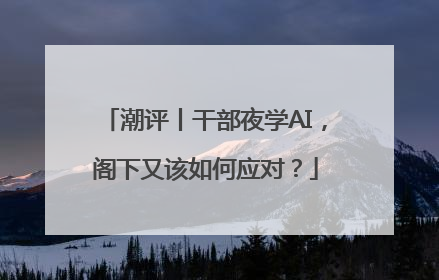 潮评丨干部夜学AI，阁下又该如何应对？