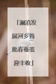 澜沧发展河乡首批春蚕茧迎丰收