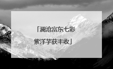 澜沧富东七彩紫洋芋获丰收
