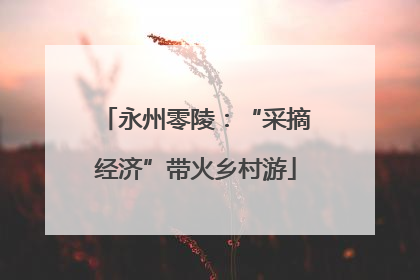 永州零陵：“采摘经济”带火乡村游