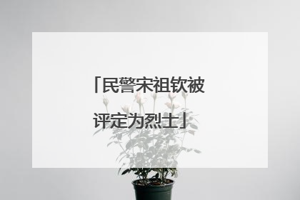 民警宋祖钦被评定为烈士