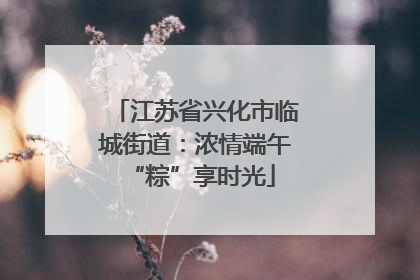 江苏省兴化市临城街道：浓情端午 “粽”享时光