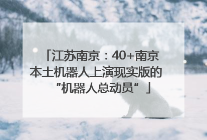 江苏南京：40+南京本土机器人上演现实版的“机器人总动员”