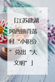 江苏建湖冈西镇肖荡村“小积分”兑出“大文明”