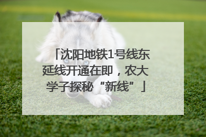 沈阳地铁1号线东延线开通在即，农大学子探秘“新线”