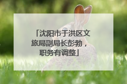 沈阳市于洪区文旅局副局长彭勃，职务有调整