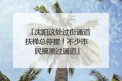 沈阳这处过街通道扶梯总停摆！不少市民摸黑过通道