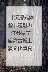 沉浸式体验非遗魅力 江苏阜宁庙湾古城上演文化盛宴