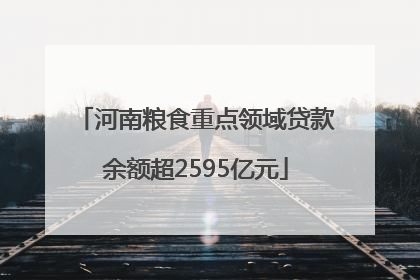 河南粮食重点领域贷款余额超2595亿元