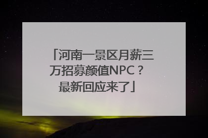 河南一景区月薪三万招募颜值NPC？最新回应来了