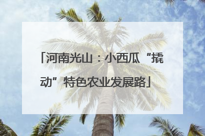 河南光山：小西瓜“撬动”特色农业发展路