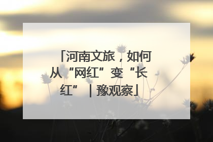 河南文旅，如何从“网红”变“长红”｜豫观察