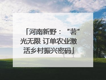 河南新野：“薯”光无限 订单农业激活乡村振兴密码