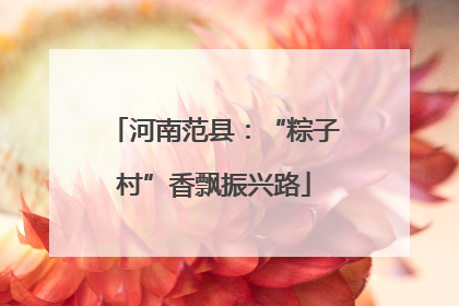 河南范县：“粽子村”香飘振兴路