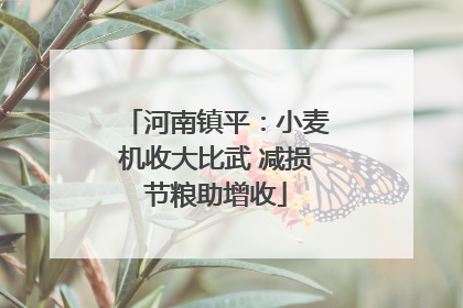 河南镇平：小麦机收大比武 减损节粮助增收