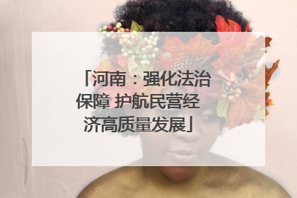 河南：强化法治保障 护航民营经济高质量发展