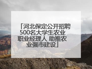 河北保定公开招聘500名大学生农业职业经理人 助推农业强市建设