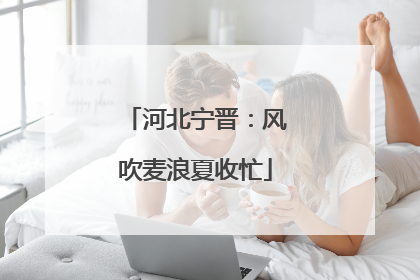 河北宁晋：风吹麦浪夏收忙