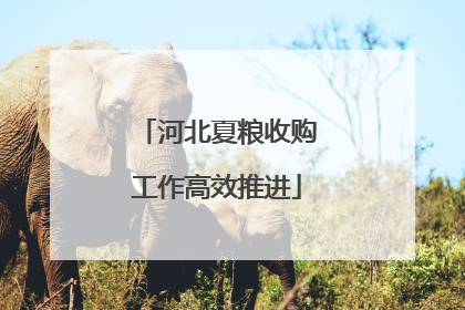 河北夏粮收购工作高效推进