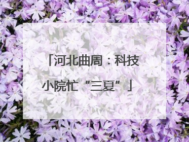 河北曲周：科技小院忙“三夏”
